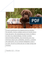 Perro PDF