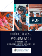 Currículo emergencia 2020- Ampliado.pdf