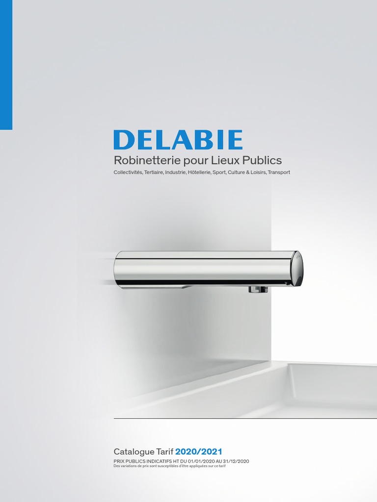 Boîtier électronique Delabie 230/12V pour Tempomatic lavabo ou douche -  495445BC 