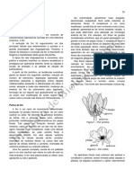 flor estudo.pdf