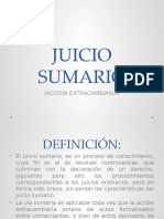 Resumen Juicio Sumario