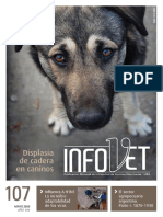 Displasia de Cadera Infovet 107 PDF