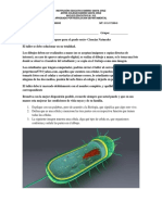 Plan de Mejoramiento y Repaso Grado Sexto - Ciencias Naturales PDF