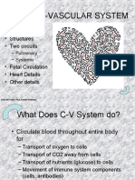 Cardio-Vascular System: - Principles - Structures - Two Circuits