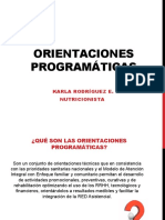 2. Orientaciones programaticas