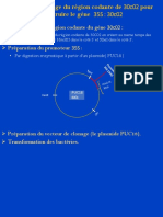 Présentation2 PDF