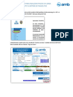 Instructivo Pse2020 PDF