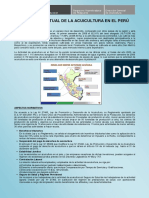 SITUACIÓN ACTUAL DE LA ACUICULTURA EN EL PERÚ.pdf