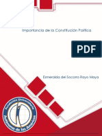 Importancia de la constitución Política.pdf