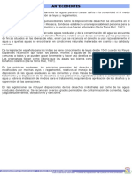 Antecedentes.pdf