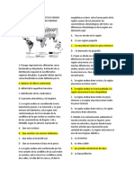 Examen de Geografia Octavo Grado Maria Montessori Primer Periodo