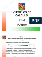 223021395-Ejemplo-Irca.pdf