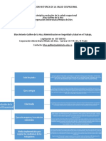 Evolucion Historica de La Salud Ocupacional
