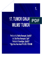 Mk Nef Slide Tumor Ginjal Wilms Tumor