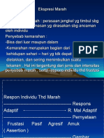 Ekspresi Marah