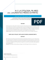 La Biopsia y La Citologia Pilares Del Diagnostico Medico Ii Parte. Articulo Revista PDF