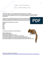 animal-classification-activity.pdf