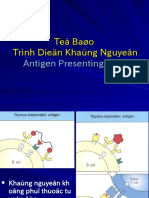 Teá Baøo Trình Dieän Khaùng Nguyeân Antigen Presenting Cells