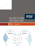 Blood Flow & Metabolism