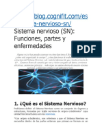 EL SISTEMA NERVIOSO (1) (1).pdf