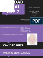 Cavidad bucal: estructura histológica y funciones