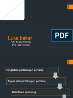 Luka Bakar