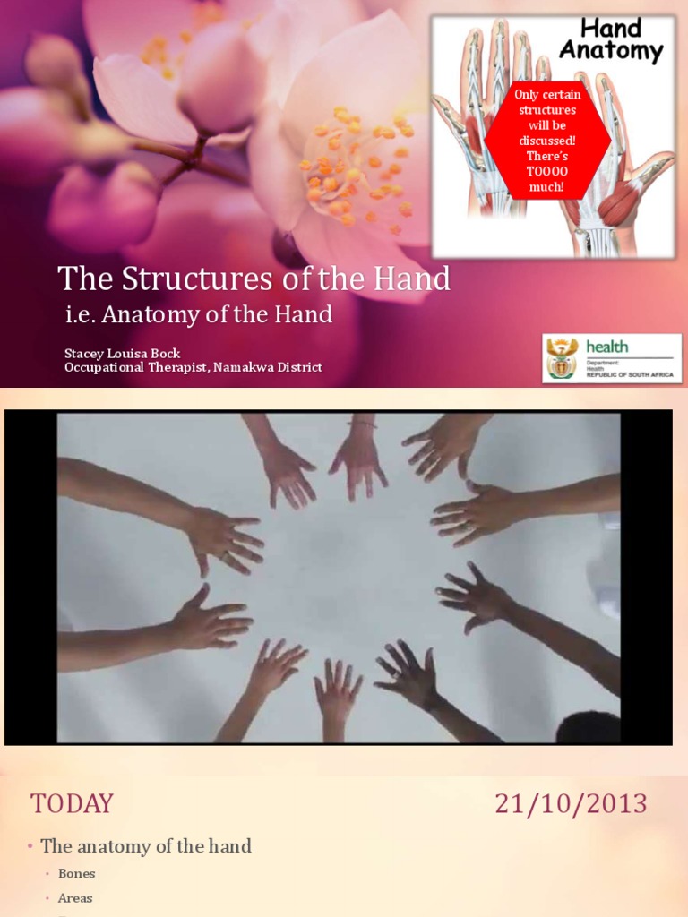 Understanding the Opisthenar Area | PDF | Thumb | Hand