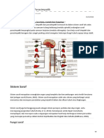 Saraf Simpatik & Parasimpatik