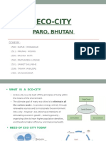 Paro - Ecocity of Bhutan