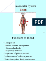 Cardiovascular System Blood