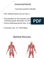 Module 6 - Muscular System Part 3 - LH
