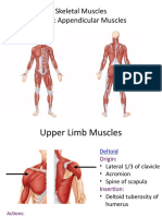 Module 6 - Muscular System Part 4 Student