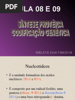 dupli_sintese aula 08