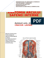 Anatomia Arcului Safenei Interne: Asistent Univ. DR