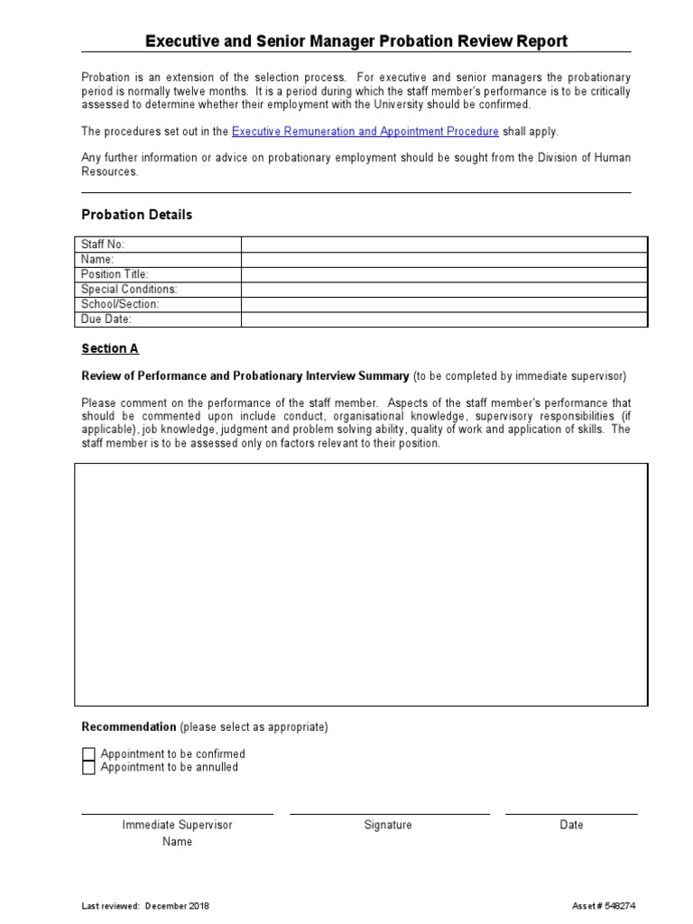 Executive and Senior Manager Probation Review Report | PDF | Justice ...