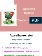 Aparelho Excretor Bom