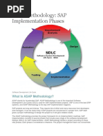 ASAP Methodology PDF