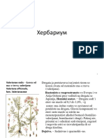 Herbarium 200428225409 PDF