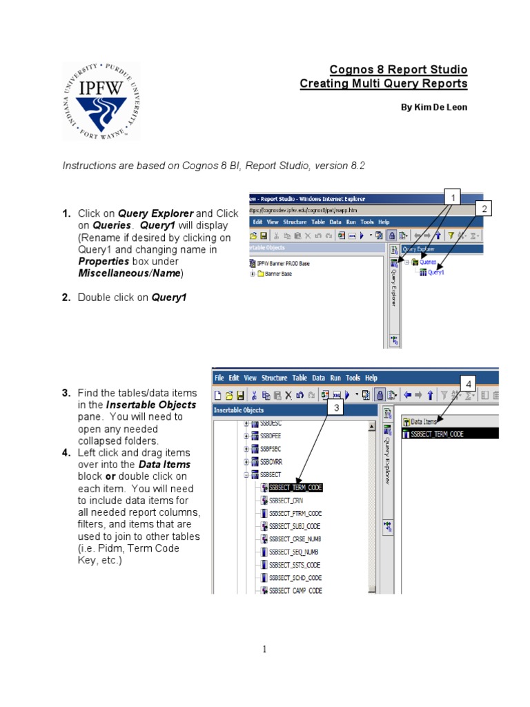 Creating Mutliple Query Reports | PDF