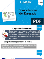 01 Competencias Del Egresado PDF