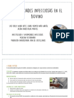 Geti Infectologia PDF