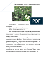 Зайцев 8-В Растение Луганщины.docx
