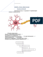 2 Neuronulcelula Miraculoasa Fisa de Activitate