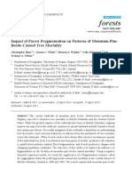 Forests: Impact of Forest Fragmentation On Patterns of Mountain Pine Beetle-Caused Tree Mortality