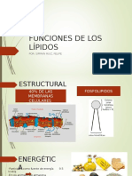 funciones de los lípidos.ppt