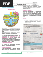 3 Taller 3 Ciencias Naturales 4 3 PDF