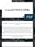 Citra Digital Format