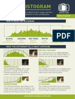 Histogram PDF