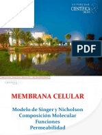Semana 2 - Membrana Celular (1).pdf