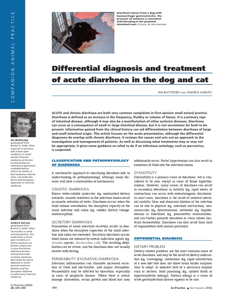 Differential Diagnosis and Treatment of Acute Diarrhoea in The Dog and